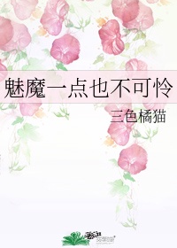 魅魔一点也不可怜