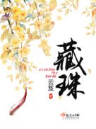 藏珠小说全文免费阅